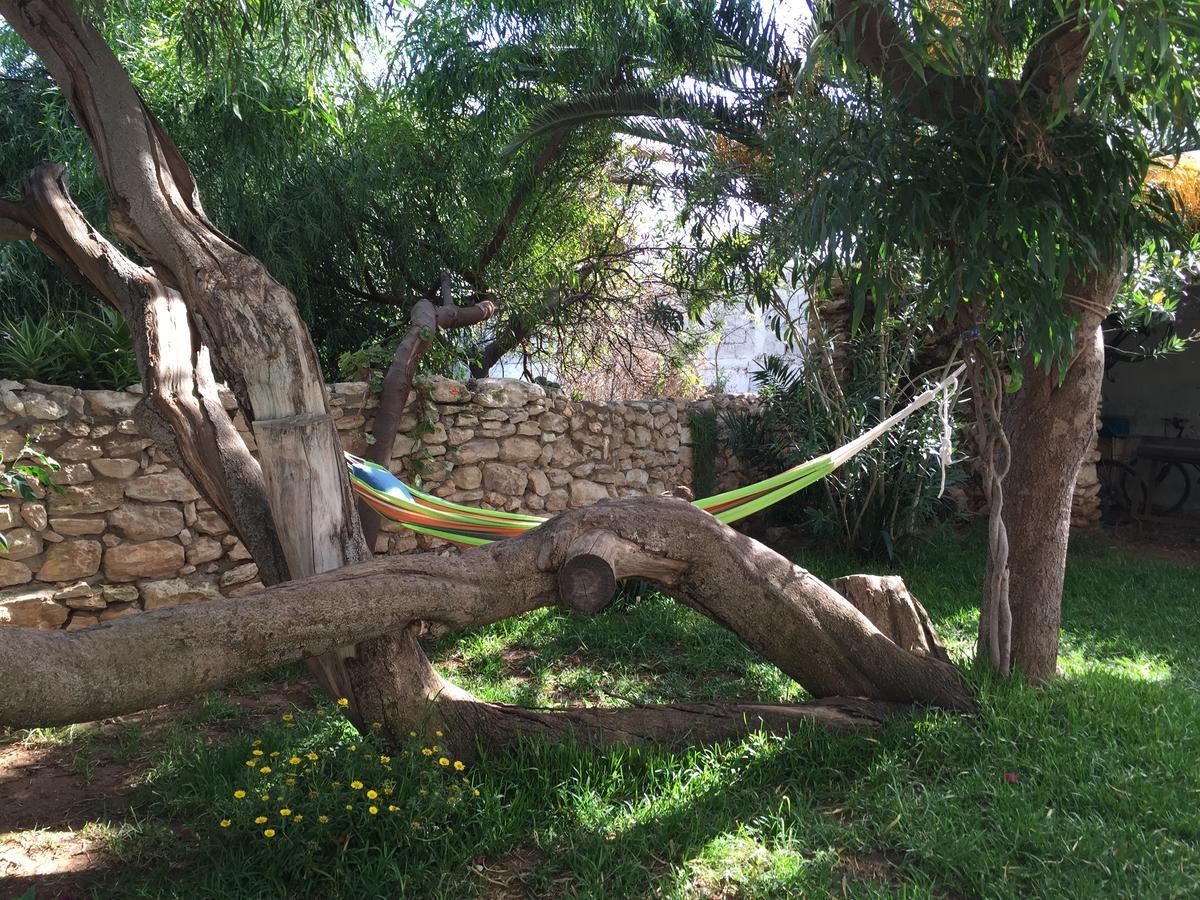 Auberge De La Plage Sidi Kaouki Kültér fotó