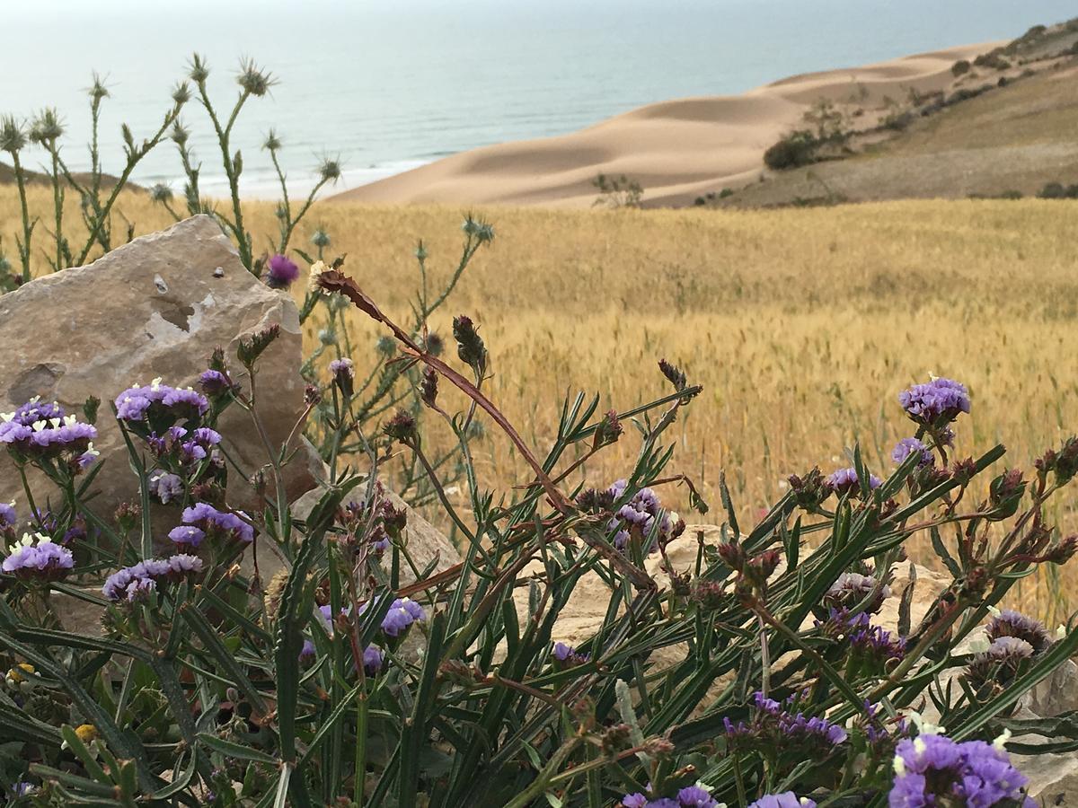 Auberge De La Plage Sidi Kaouki Kültér fotó